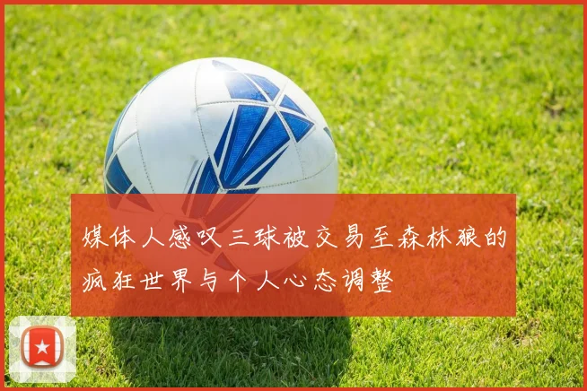 媒体人感叹三球被交易至森林狼的疯狂世界与个人心态调整